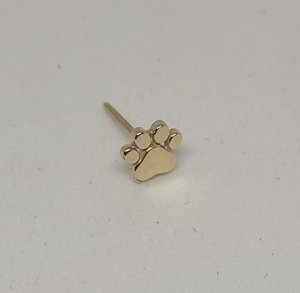 Gold Paw Engraved Stud Earring