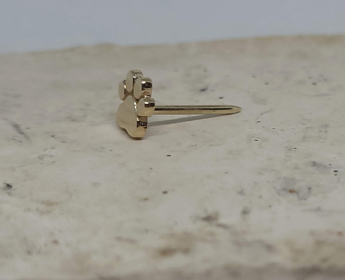 Gold Paw Engraved Stud Earring